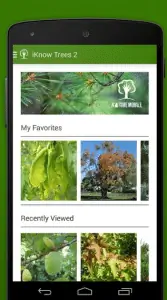 Iknowtrees - приложение для идентификации растений