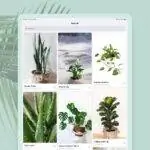PlantIn - приложение для идентификации растений.