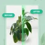 Вид приложения PlantIn