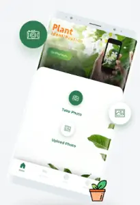 LeafSnap поможет вам идентифицировать растения