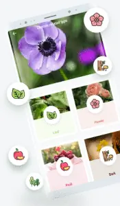 LeafSnap поможет вам узнать название вашего растения