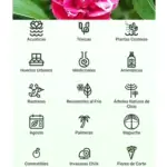 Существует множество приложений для дизайна сада.