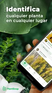 PlantSnap - очень интересное приложение.