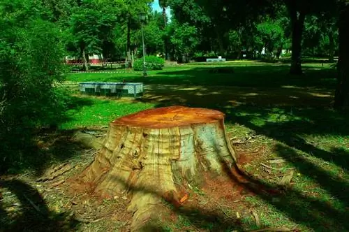 вырубать деревья