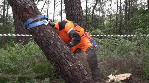 спилить деревья бензопилой