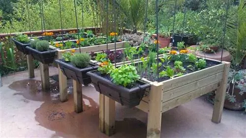 Что такое общественные сады?