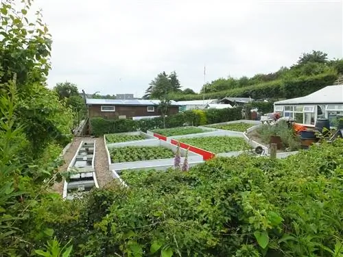 социальные сады