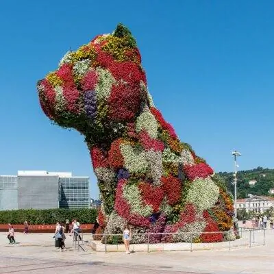 щенок бильбао