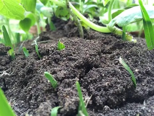 избыток удобрений