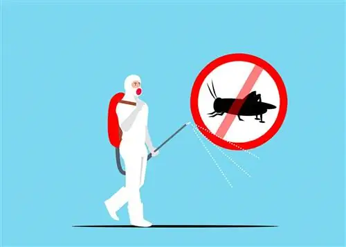 Циперметрин действует на множество различных вредителей. Циперметрин действует на множество различных вредителей.