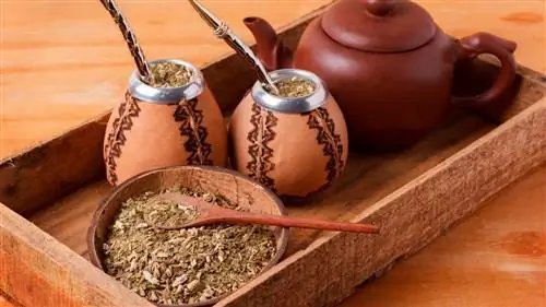 чай йерба мате