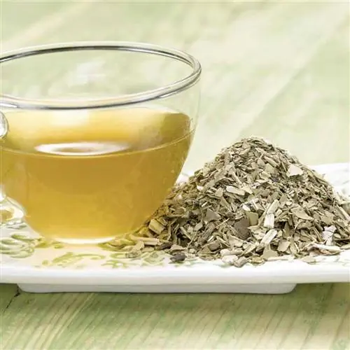 что такое йерба мате в настоях