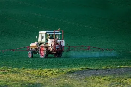 Фитосанитарные продукты можно классифицировать по-разному.