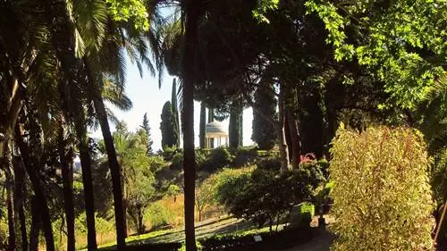 Ботанический сад Малаги - один из самых замечательных в Европе.