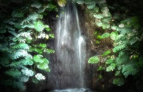 Ботанический сад Малаги имеет несколько примечательных элементов.