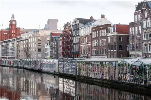 Цветочный рынок в Амстердаме называется Bloemenmarkt.