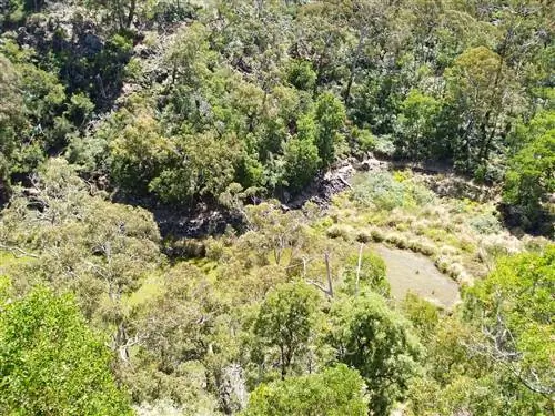 Маки - довольно сухой ландшафт.