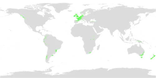 климат океана по всему миру