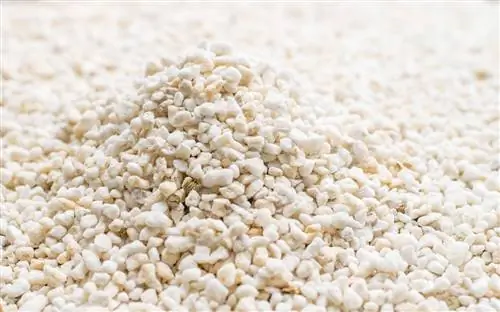 Перлит представляет собой сухой белый субстрат.