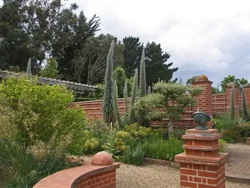 Ядовитые растения в Испании