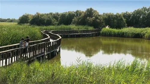 важность таблиц даймиэля важность таблиц даймиэля