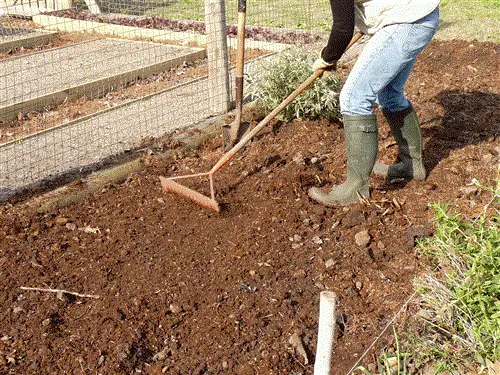 ровные сады