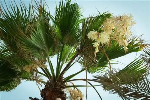 Гибриды могут быть естественными