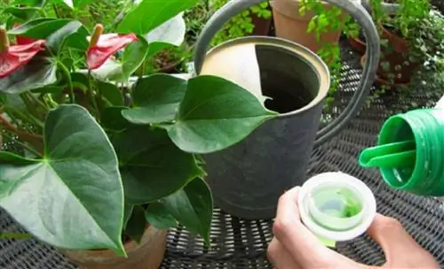 Как применять жидкие удобрения для растений в вашем саду
