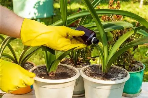 Как добавить жидкие удобрения для растений