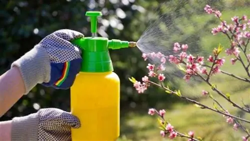 самодельные фунгициды