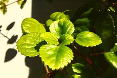 Обслуживание