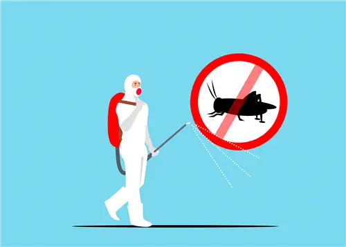 Есть несколько природных средств для уничтожения тли