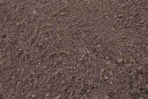 черный торф