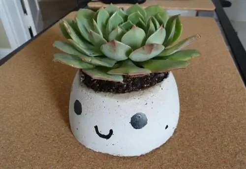 небольшой цементный горшок