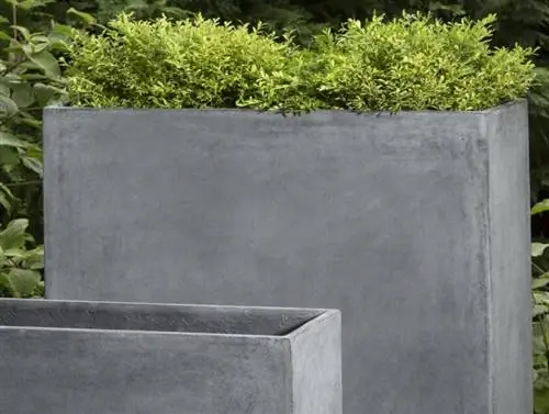 цементные горшки
