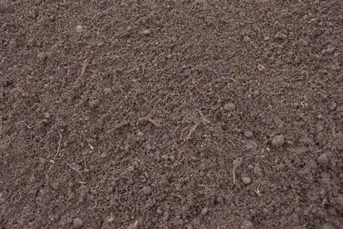 черный торф