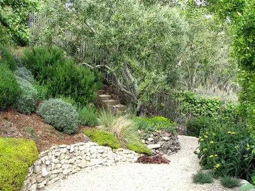 Средиземноморский сад - это ксеросад