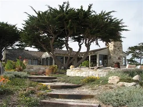 Средиземноморский сад не требует особого ухода