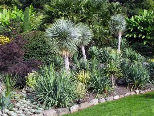 Средиземноморский сад не требует особого ухода