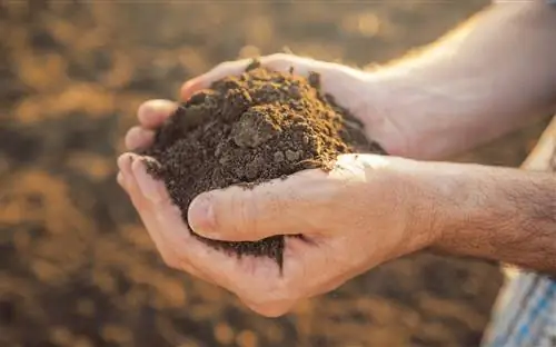 характеристики илистых грунтов