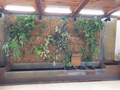 формирование вертикального сада в помещении