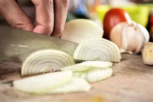 Белый лук используется во многих кулинарных рецептах.