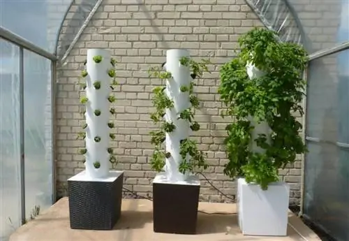 Аэропонное выращивание Fuente_AgroHuerto Аэропонное выращивание Fuente_AgroHuerto