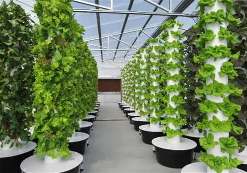 Aeroponics Fuente_Hidroponia.mx Aeroponics Fuente_Hidroponia.mx