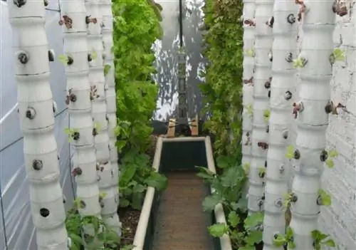 Aeroponics Source_Renewable зеленые модели Aeroponics Source_Renewable зеленые модели