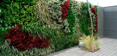 красивый вертикальный сад Fuente_Decoora