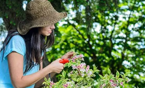 женщина подстригает летом