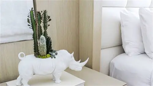 Четыре кашпо Lladró, которые понравятся любителям растений (и животных)