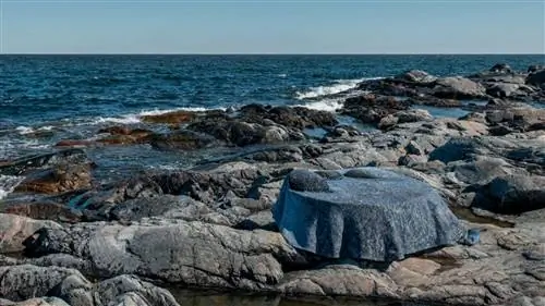 Design by Nature': КОЛЛЕКЦИЯ очень натуральной мебели