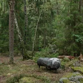 Итальянская дизайнерская фирма Moroso сотрудничала со шведской студией Front, основанной Анной Линдгрен и Софией Лагерквист…